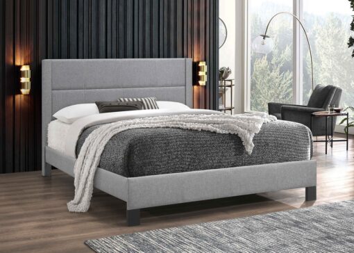 IF-5351 - Image 3